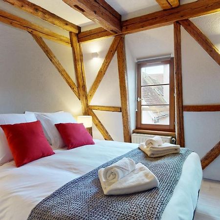 La Balade De Molly Apartment Colmar Bagian luar foto