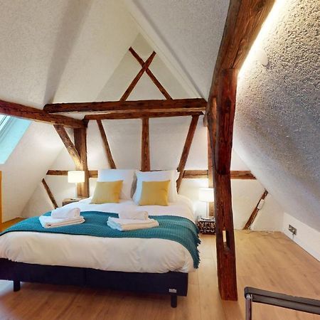 La Balade De Molly Apartment Colmar Bagian luar foto