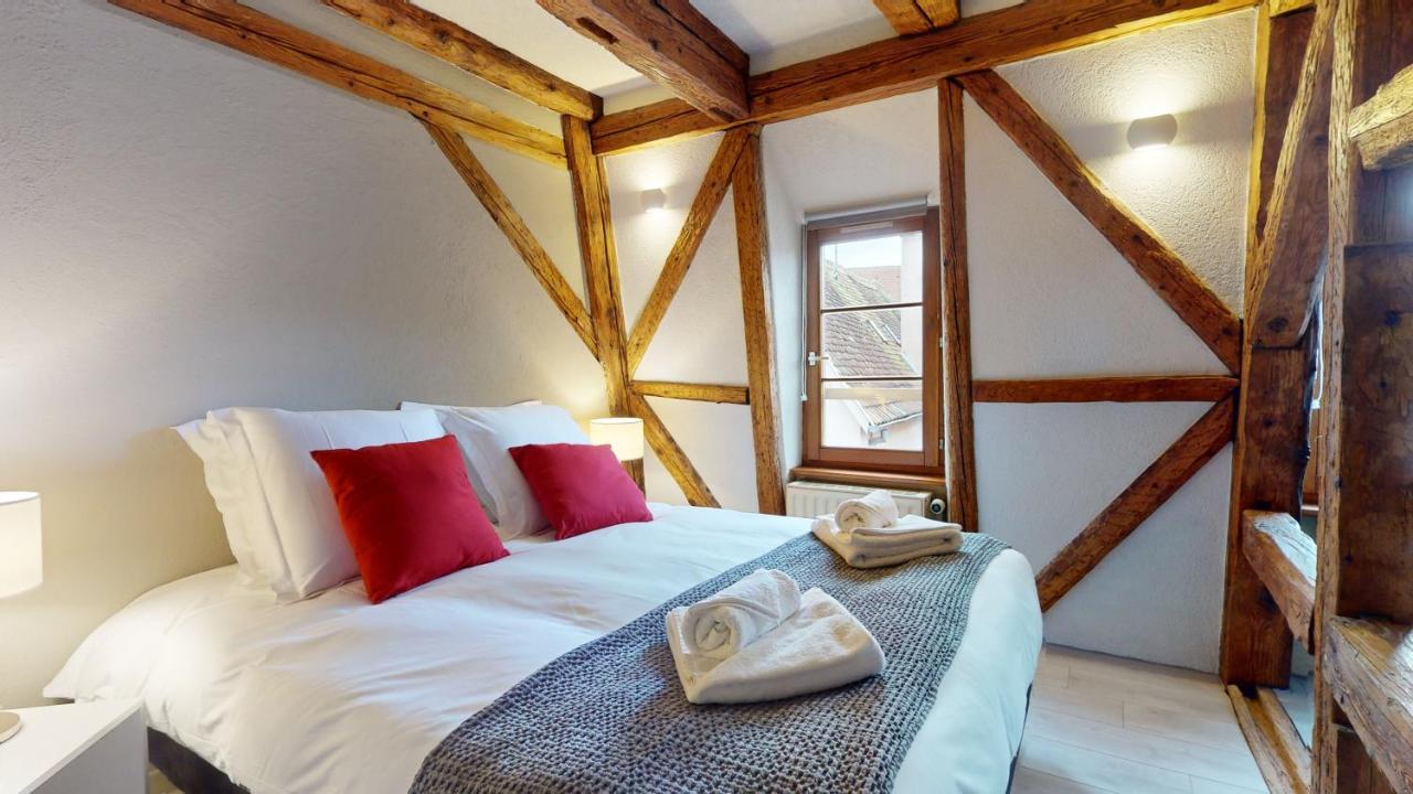 La Balade De Molly Apartment Colmar Bagian luar foto