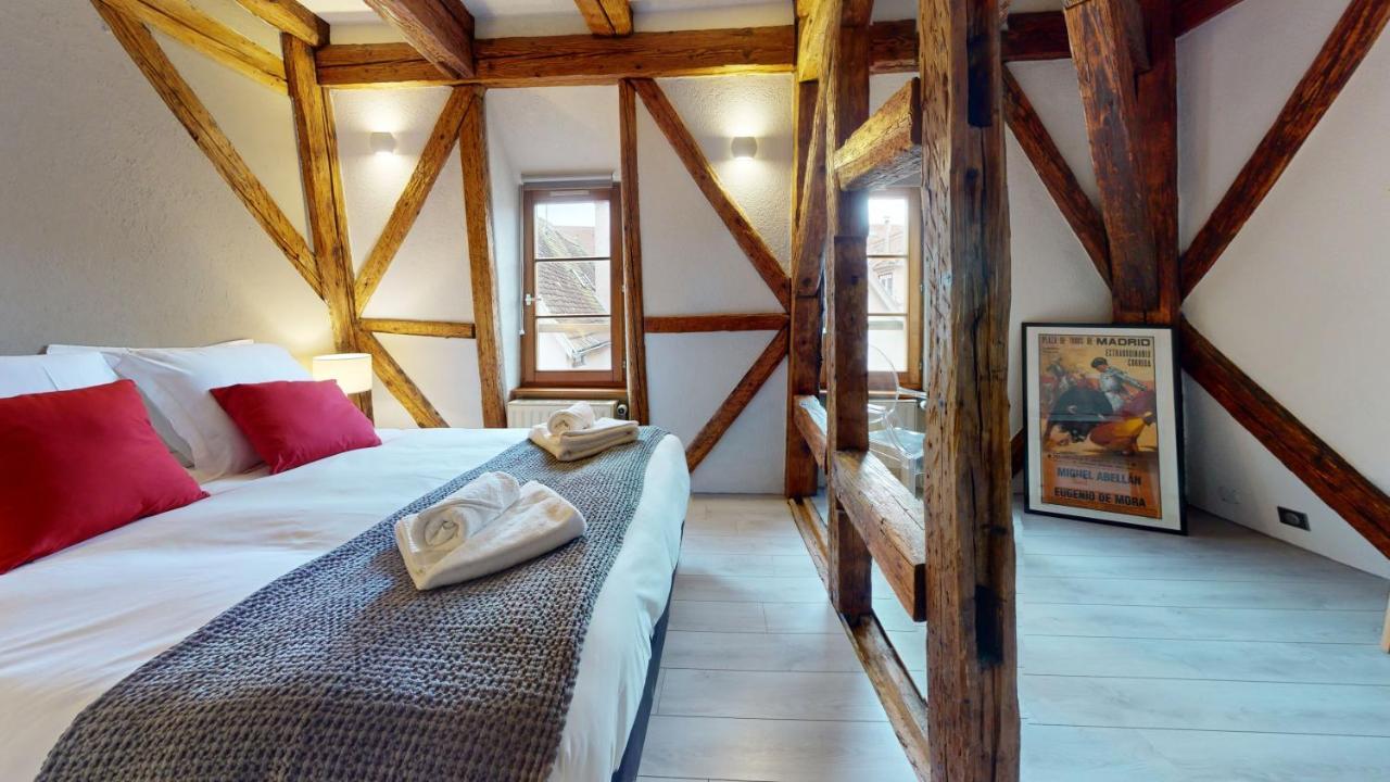 La Balade De Molly Apartment Colmar Bagian luar foto