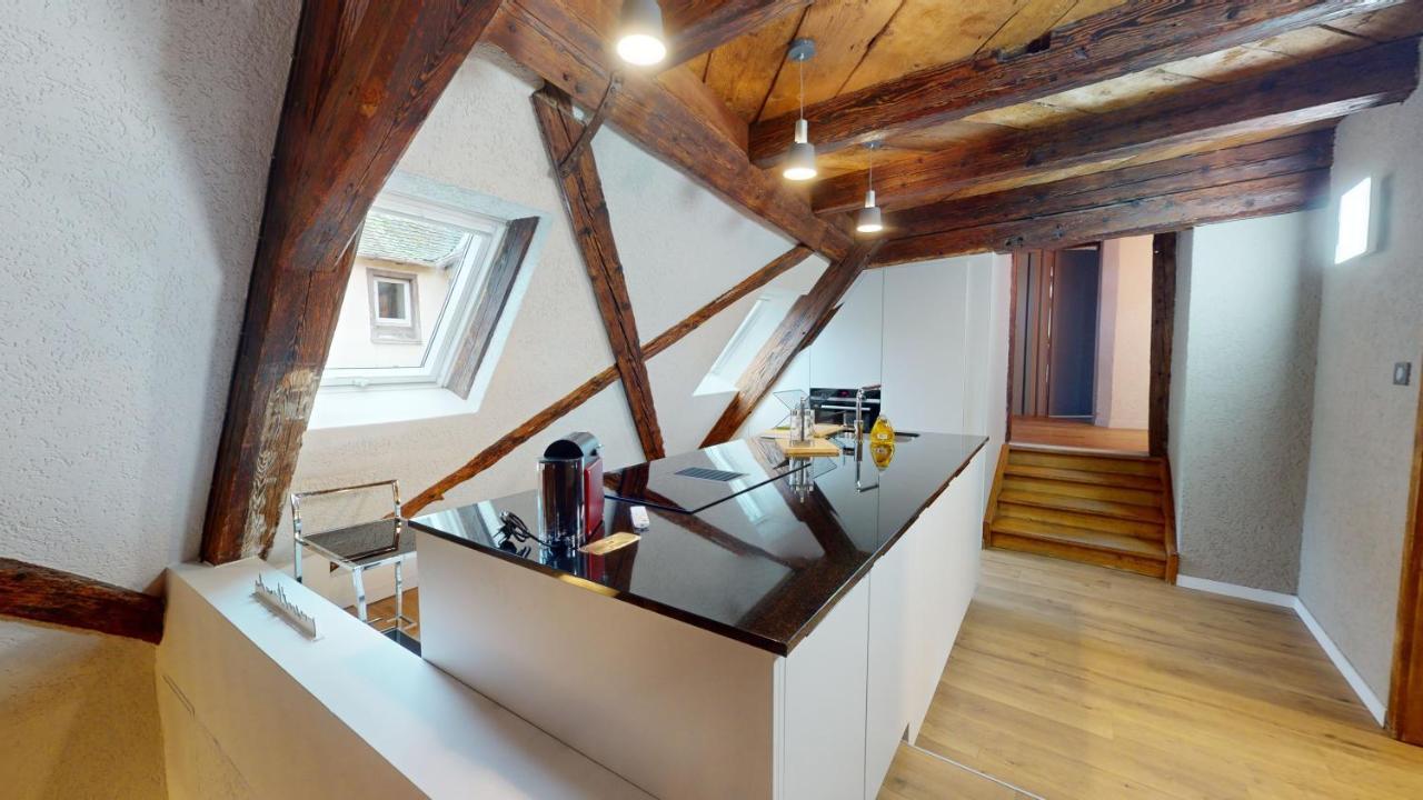 La Balade De Molly Apartment Colmar Bagian luar foto