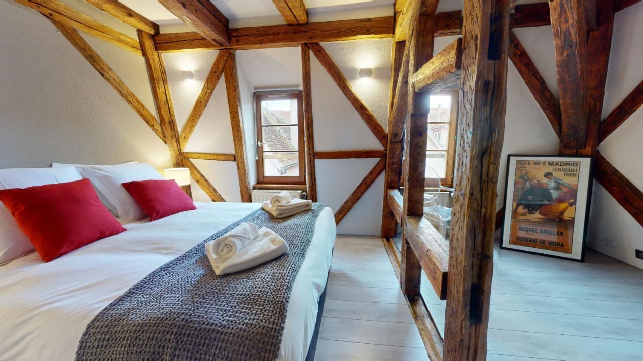 La Balade De Molly Apartment Colmar Bagian luar foto