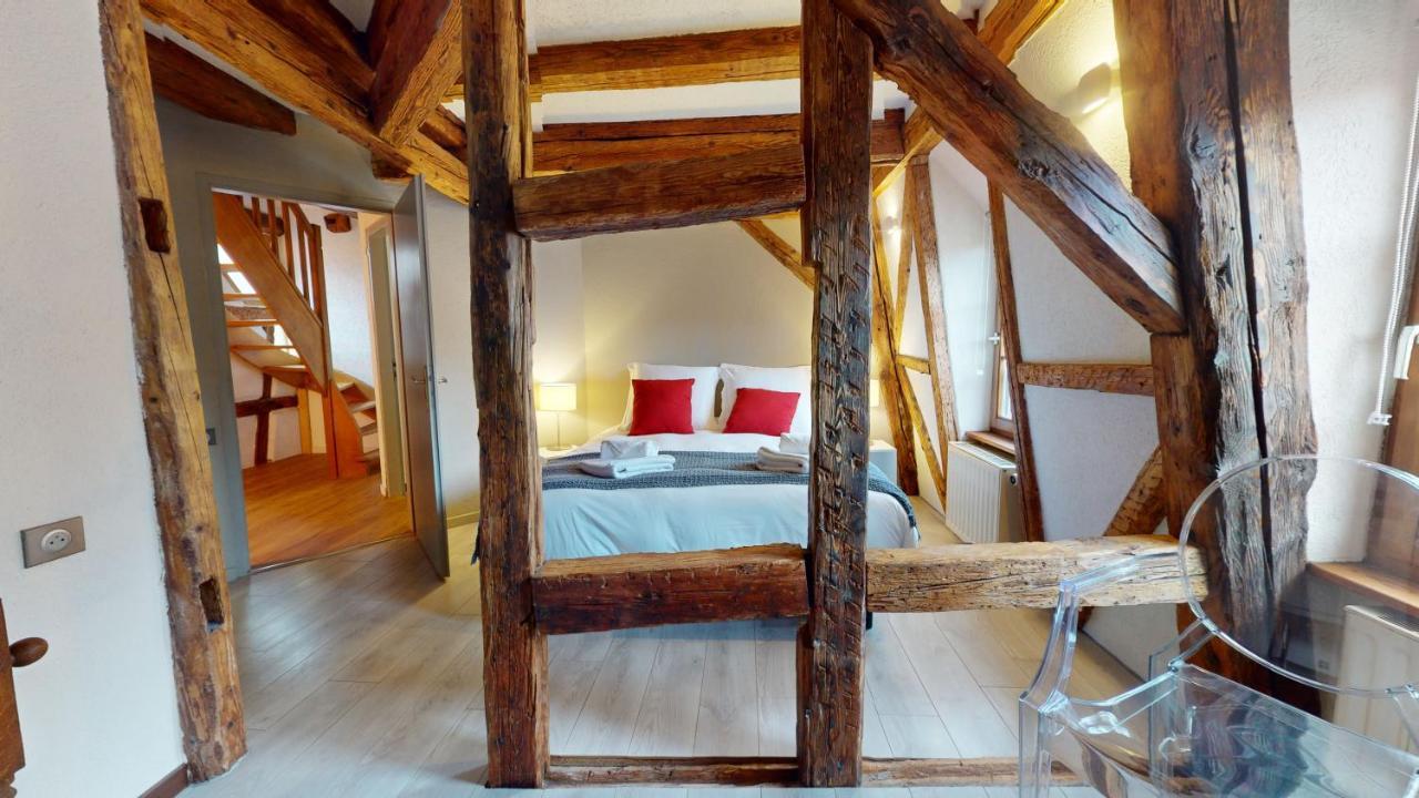 La Balade De Molly Apartment Colmar Bagian luar foto