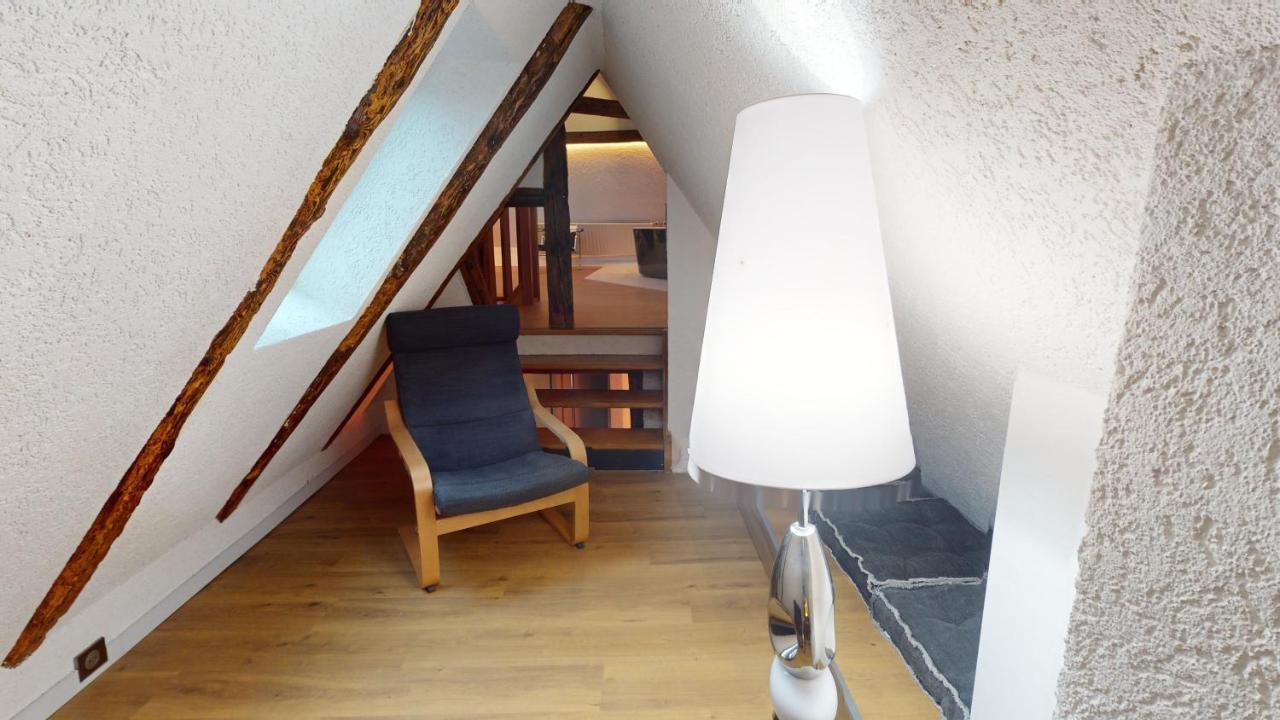 La Balade De Molly Apartment Colmar Bagian luar foto
