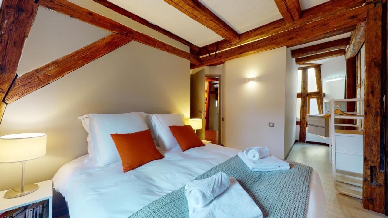 La Balade De Molly Apartment Colmar Bagian luar foto