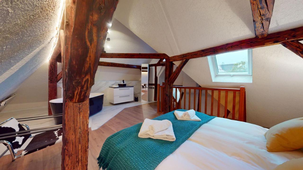 La Balade De Molly Apartment Colmar Bagian luar foto