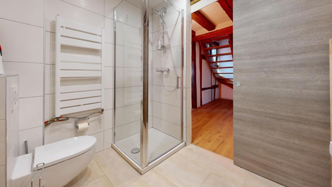 La Balade De Molly Apartment Colmar Bagian luar foto