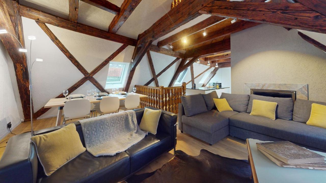 La Balade De Molly Apartment Colmar Bagian luar foto
