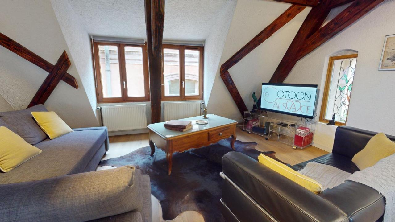 La Balade De Molly Apartment Colmar Bagian luar foto