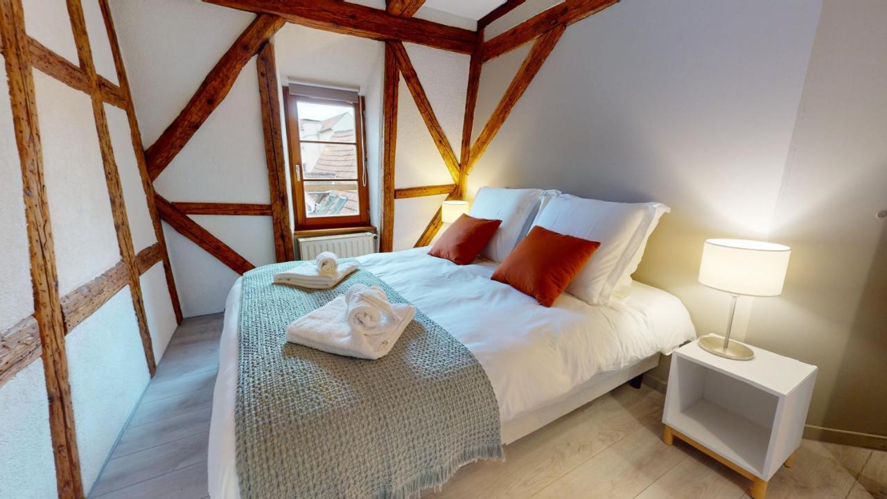 La Balade De Molly Apartment Colmar Bagian luar foto